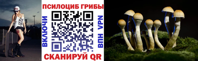 Псилоцибиновые грибы Cubensis Мичуринск