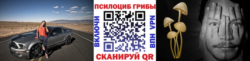 mega ТОР  Мичуринск  Галлюциногенные грибы Cubensis 