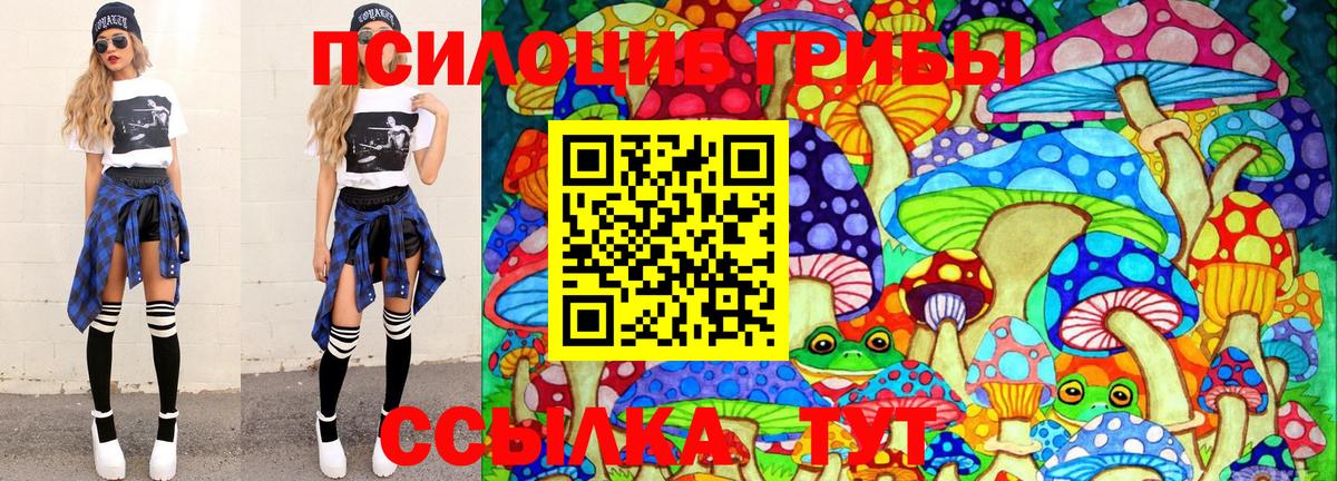 Псилоцибиновые грибы GOLDEN TEACHER Мичуринск