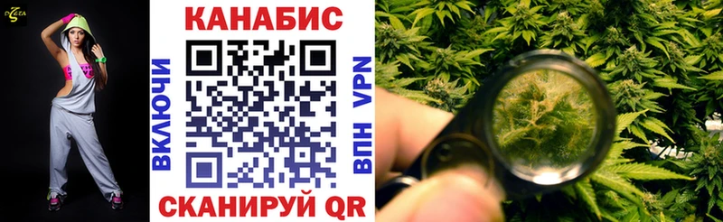 закладки  Мичуринск  Конопля план 